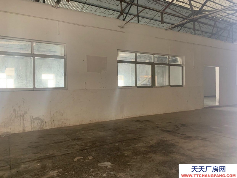 (出租) 赤坎康宁路可做办公室环境优美交通便利
