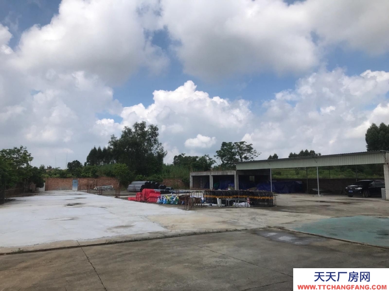 (出租) 赤坎调顺大型独门独院仓库厂房