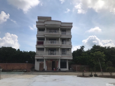 (出租) 赤坎调顺大型独门独院仓库厂房图1