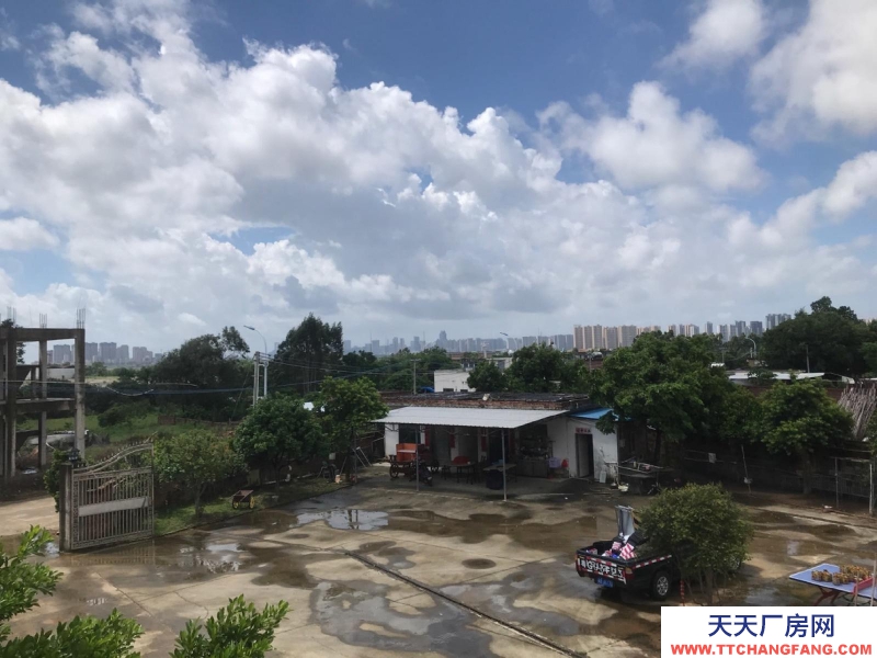 (出租) 赤坎调顺大型独门独院仓库厂房