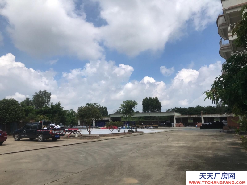 (出租) 赤坎调顺大型独门独院仓库厂房
