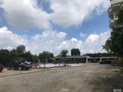 (出租) 赤坎调顺大型独门独院仓库厂房图4