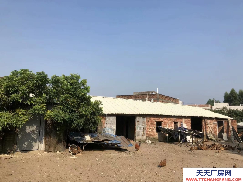 (出租) 该地靠近，五星建材(300米远)—椹川实验学校—椹川大道