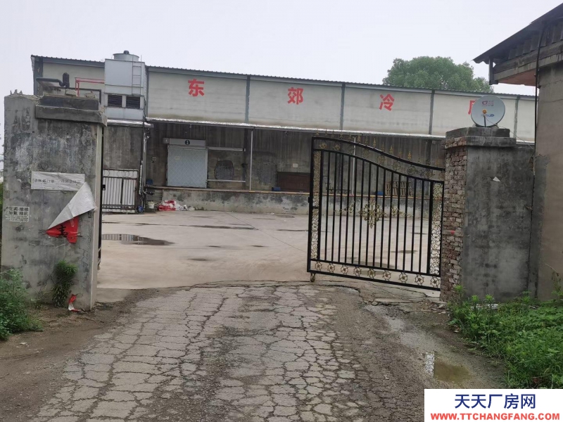 邢台市 邢台县 (出租) 河北省邢台市襄都区标准冷库出租 个人冷库