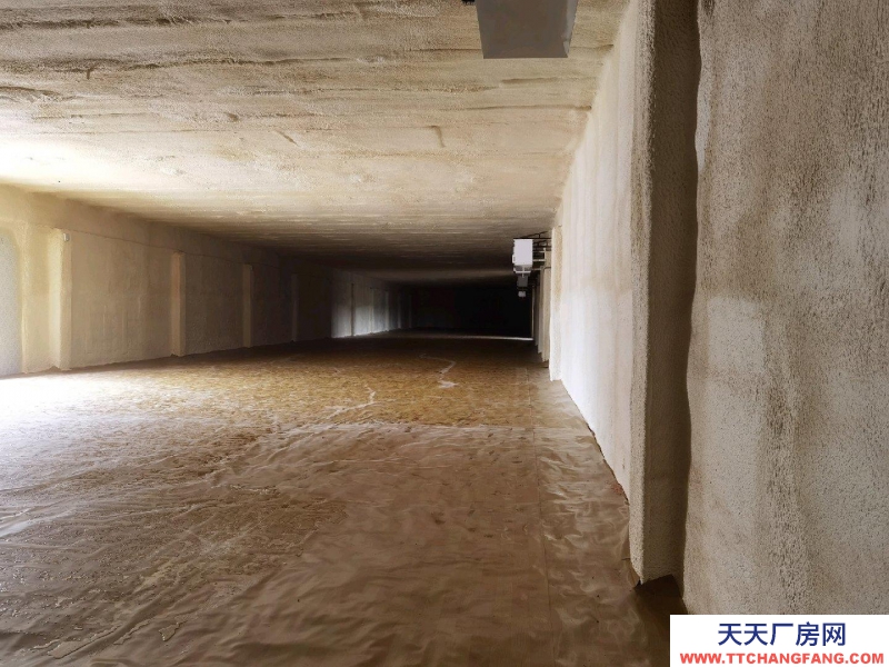 邢台市 邢台县 (出租) 位于新兴路与滨江路交叉口西行一公里路北，可整租，可分租