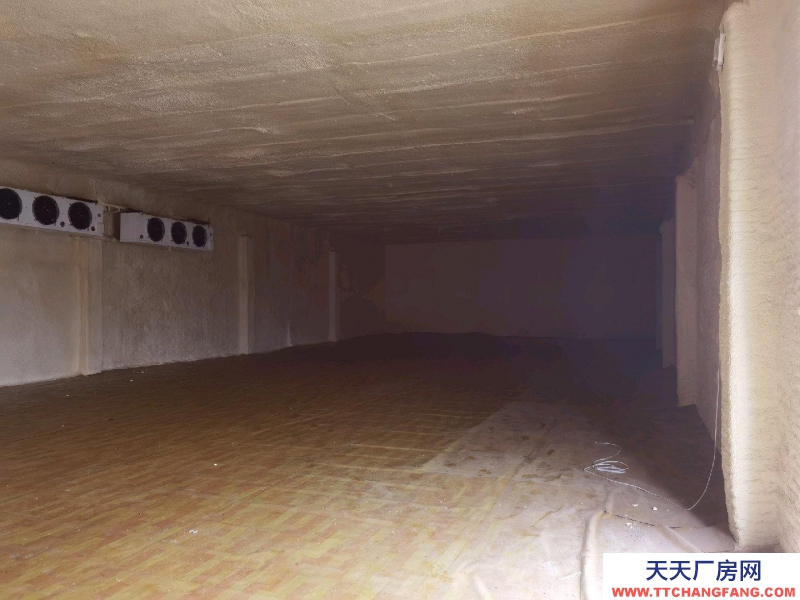 邢台市 邢台县 (出租) 位于新兴路与滨江路交叉口西行一公里路北，可整租，可分租