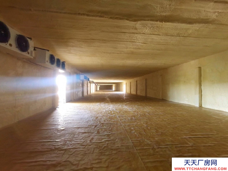 邢台市 邢台县 (出租) 位于新兴路与滨江路交叉口西行一公里路北，可整租，可分租