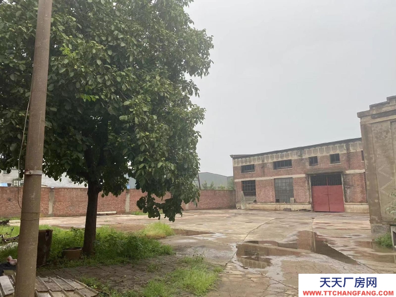 (邢台市  柏乡 出租) 小型厂房 临马路交通方便