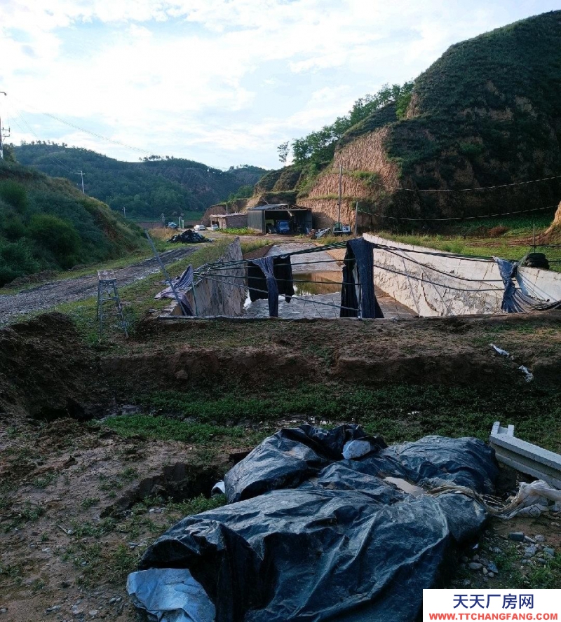(出租) 占地两百亩，养殖场，可直接养牛羊，可放养
