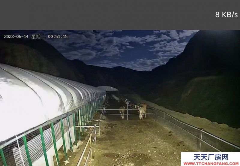 (出租) 占地两百亩，养殖场，可直接养牛羊，可放养