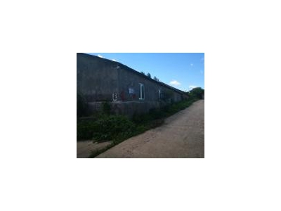 (出售) 急售农村房屋和养猪场，位于朝阳川三峰5队，共1000平米多图1