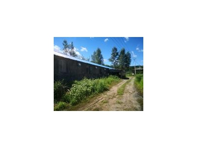 (出售) 急售农村房屋和养猪场，位于朝阳川三峰5队，共1000平米多图2