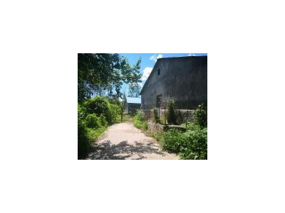 (出售) 急售农村房屋和养猪场，位于朝阳川三峰5队，共1000平米多图3