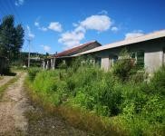 (出售) 急售农村房屋和养猪场，位于朝阳川三峰5队，共1000平米多
