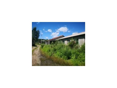 (出售) 急售农村房屋和养猪场，位于朝阳川三峰5队，共1000平米多图4