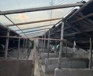 (出租) 延边科技大学附近房屋出租。可做养狗圈