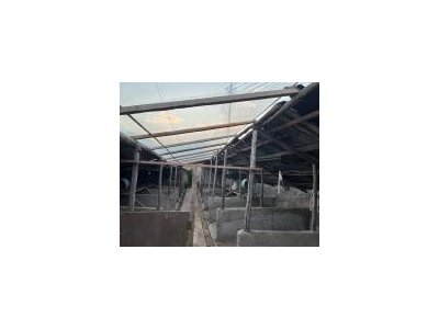 (出租) 延边科技大学附近房屋出租。可做养狗圈图1