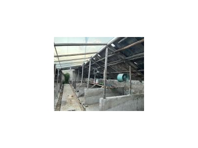 (出租) 延边科技大学附近房屋出租。可做养狗圈图3