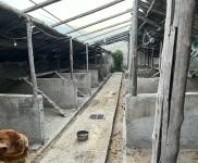 (出租) 延边科技大学附近房屋出租。可做养狗圈