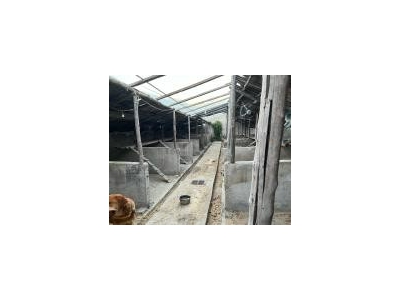 (出租) 延边科技大学附近房屋出租。可做养狗圈图4