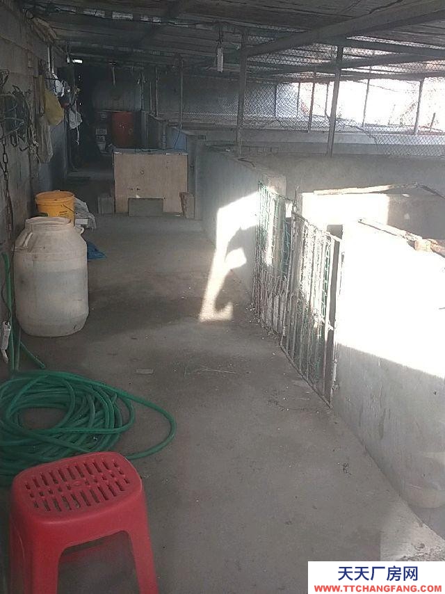 (出租) 5亩大院子水三项电，猪圈办公室菜园空地三亩，二百平米库房