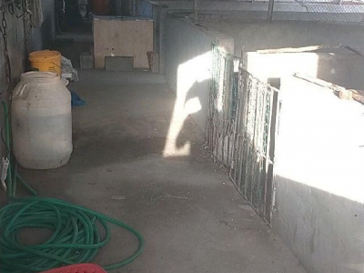 (出租) 5亩大院子水三项电，猪圈办公室菜园空地三亩，二百平米库房图2