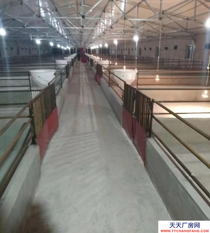 (出售) 出售年出栏2000头猪场，售价21万
