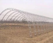 (出租) 出租敦化胜利一心村 2000平米大院 !!!