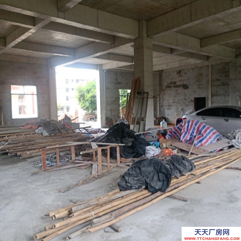 (出租) 湛江旧机场旁整栋出租，可做仓库厂房或办公室