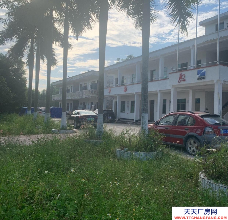 (出租) 湛江坡头可做厂房仓库，整个学校租