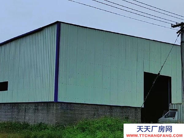 (出租) 湛江坡头官渡全新独院厂房仓库
