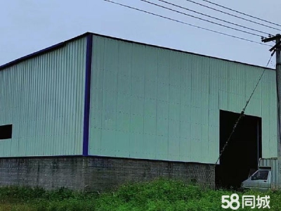 (出租) 湛江坡头官渡全新独院厂房仓库图1
