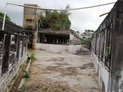 (出租) 湛江遂溪大面积场地出租(也可出售)，具体可商量图1