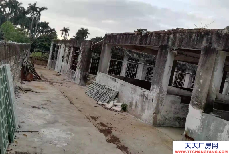 (出租) 湛江遂溪大面积场地出租(也可出售)，具体可商量