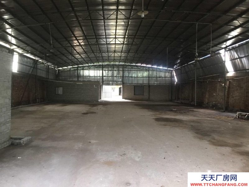 (出租) 湛江遂溪靠近国道，出入方便，水电齐全，水泥路面