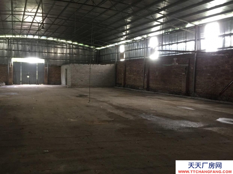 (出租) 湛江遂溪靠近国道，出入方便，水电齐全，水泥路面