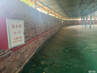 (出租) 湛江徐闻高标准仓库设备齐全，道路便捷！图1