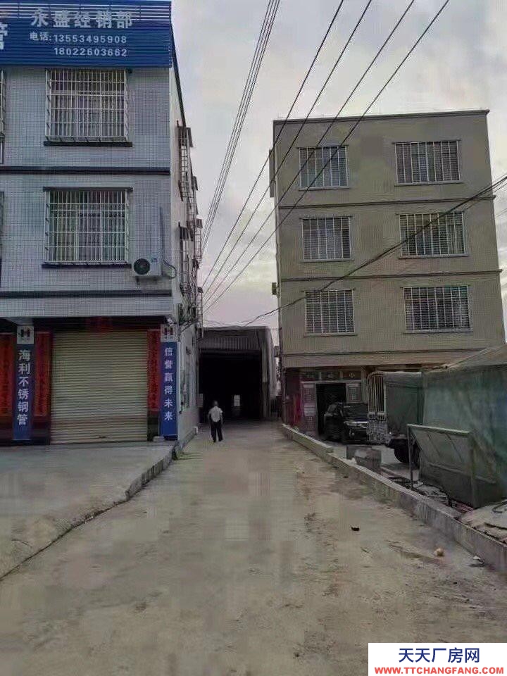 (出租) 湛江廉江路大近公路 大车出入方便