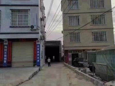 (出租) 湛江廉江路大近公路 大车出入方便图1