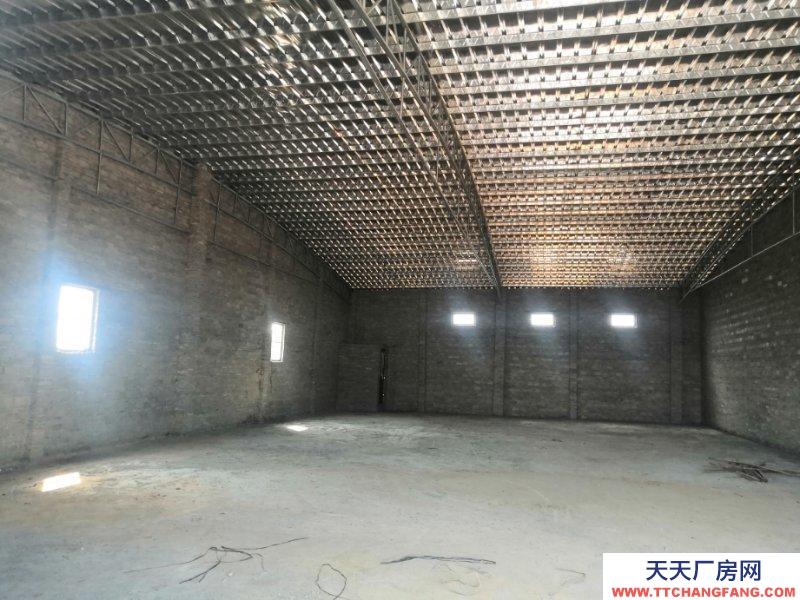 (出租) 湛江雷州宾合村仓库厂房出租。