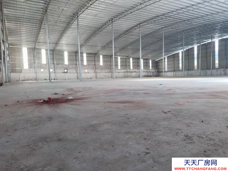 (出租) 惠城区下角附近新建单层钢构9米高厂房4800平方出租