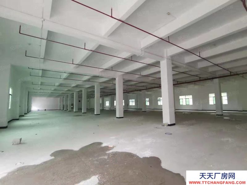 (出租) 马安镇新乐工业区标准厂房3层分租共5250平出租空地大可分