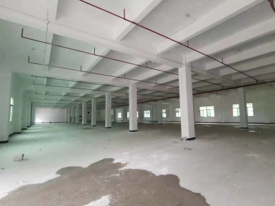 (出租) 马安镇新乐工业区标准厂房3层分租共5250平出租空地大可分图2