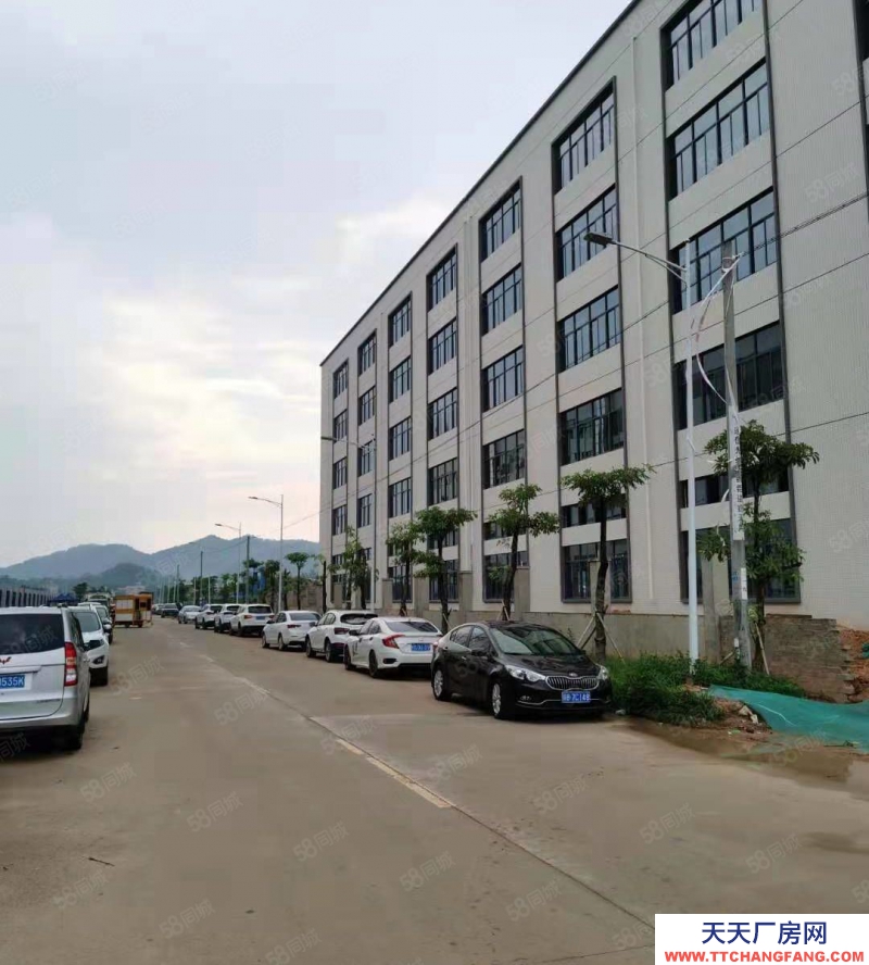 (出租) 马安镇新乐工业区标准厂房3层分租共5250平出租空地大可分