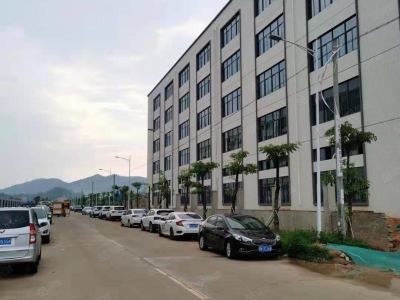 (出租) 马安镇新乐工业区标准厂房3层分租共5250平出租空地大可分图1