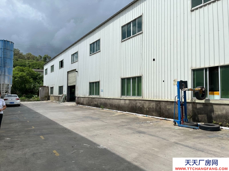 (出租) 惠城区小金口1800平钢构出租，层高7.5米，中间无柱子