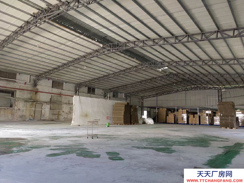 (出租) 惠城区小金口1800平钢构出租，层高7.5米，中间无柱子