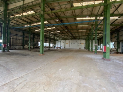 (出租) 马安镇工业区滴水10米钢构厂房面积2900平（可分租）证件齐图1