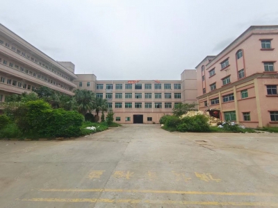 (出租) 水口独院10000方厂房办公宿舍招租 位置好 易招工图2