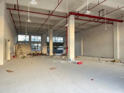 (出租) 14块水口东江工业区标准厂房一楼2000平厂房低价出租可分租图2